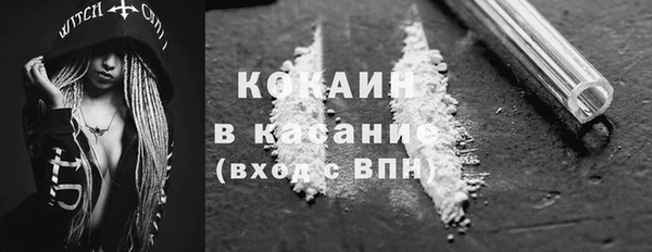эйфоретик Богданович