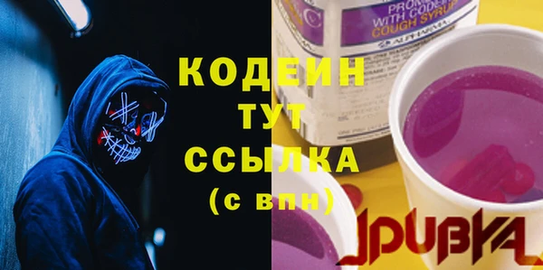 молекула духа Богородицк