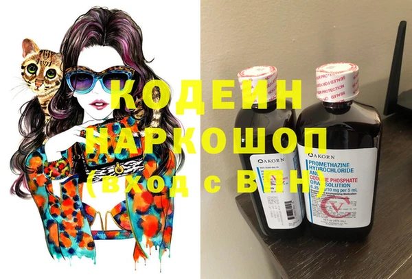 эйфоретик Богданович