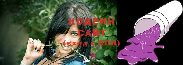 молекула духа Богородицк