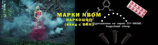 молекула духа Богородицк