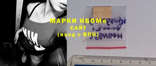 молекула духа Богородицк