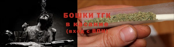 эйфоретик Богданович