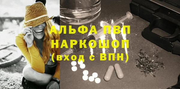молекула духа Богородицк