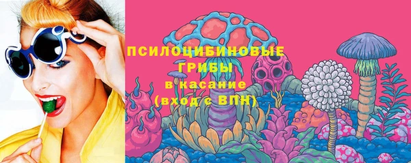 эйфоретик Богданович