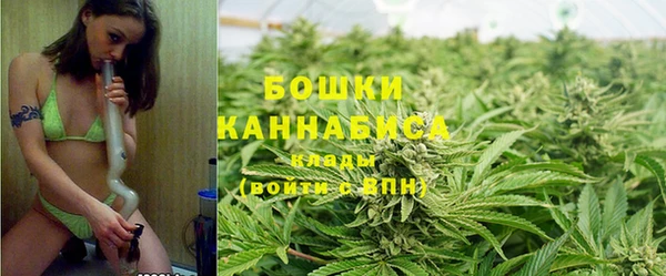 молекула духа Богородицк