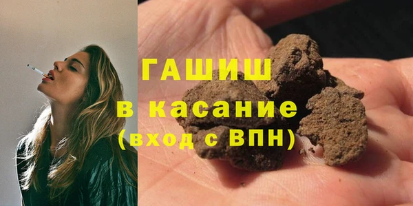 молекула духа Богородицк