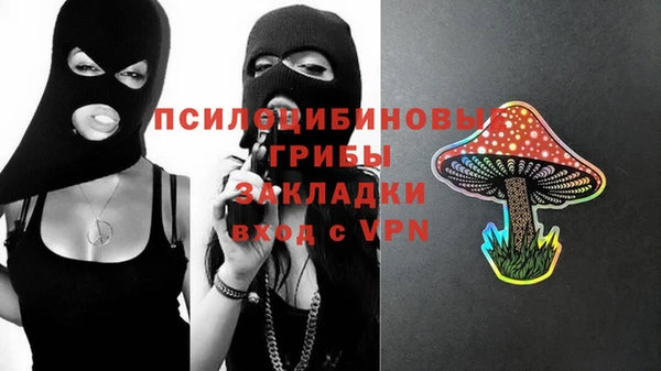 молекула духа Богородицк