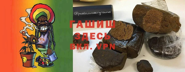 молекула духа Богородицк