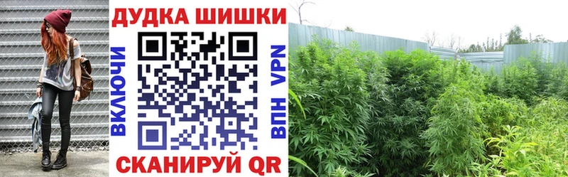 Шишки марихуана THC 21%  маркетплейс Telegram  Нерехта 
